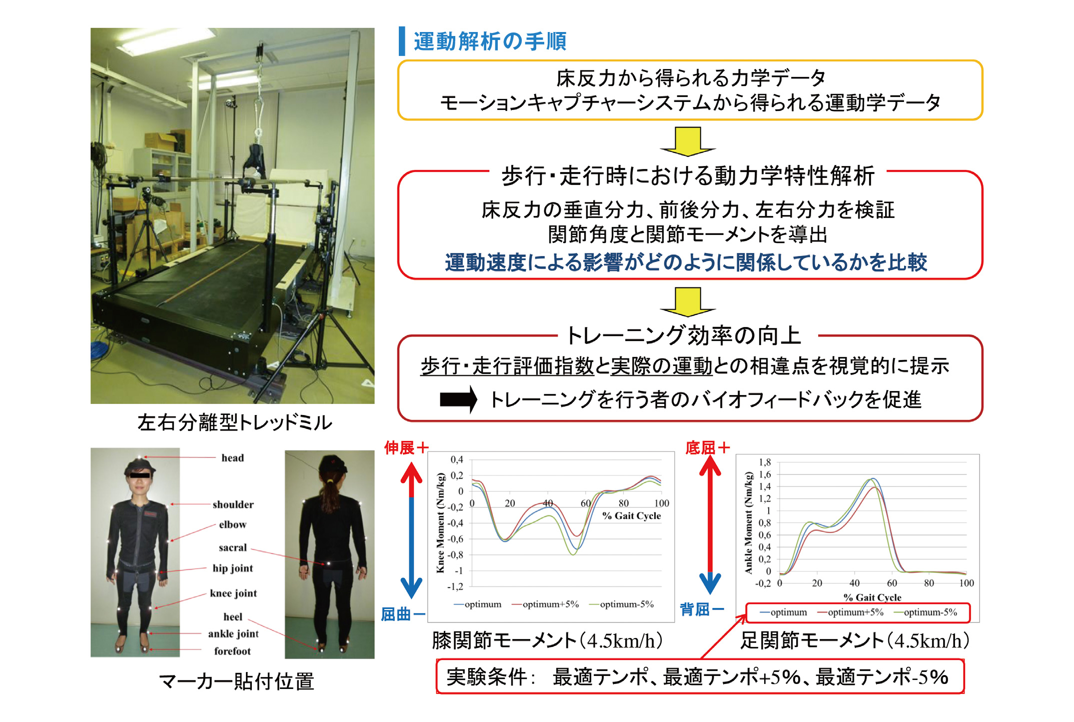春野恵 無修正無修正kyoko-kubo 辻内 伸好(理工学部機械システム工学科) | 同志社大学 研究者データベース