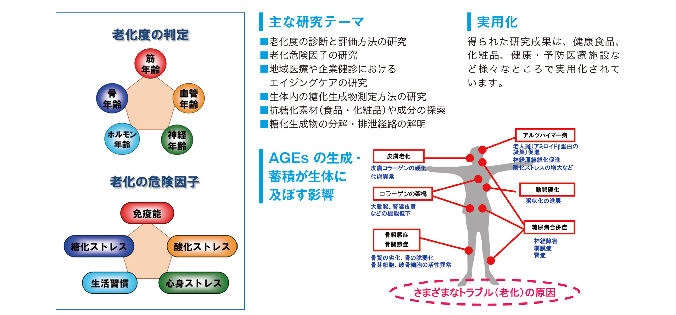 メタボ撃退!ヘルシーなカラダを手に入れる方法とは - 結論